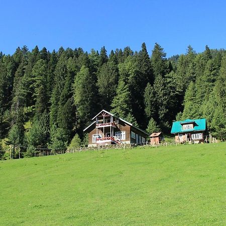 Hotel Peaceful Mornings Srinagar Buitenkant foto